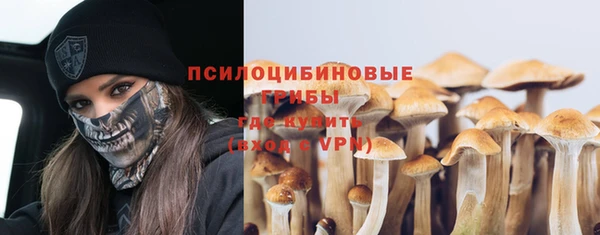 молекула духа Лихославль