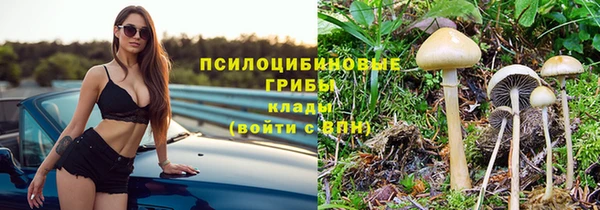 сатива Лиски